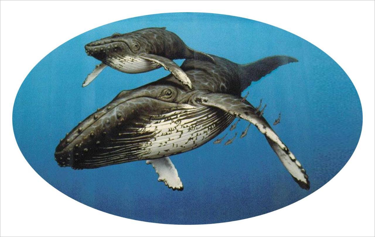 Whispering Whale Hotell Jacobs Bay Exteriör bild